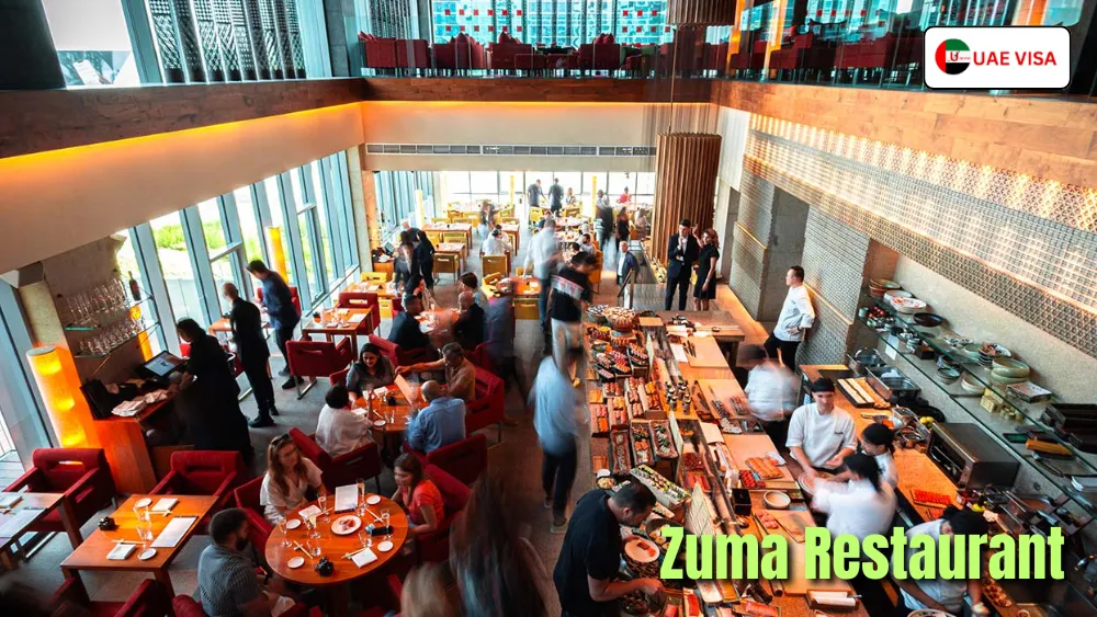 Business Lunch at Zuma Restaurant